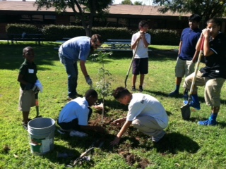 Students planting trees